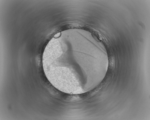 X0000114100715200911161058