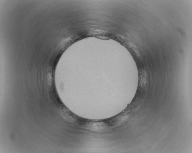 X0000114100716200911161058