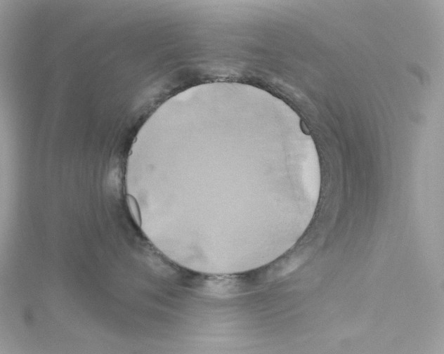 X0000114100720200911161058