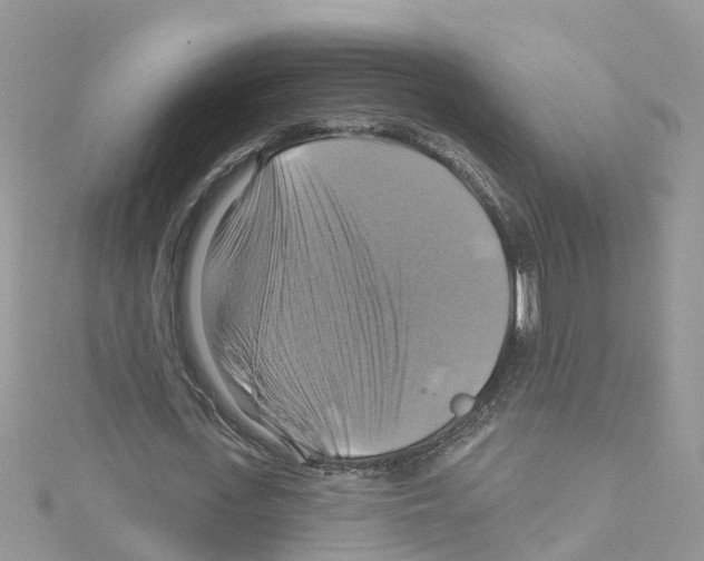 X0000114100723200911161057