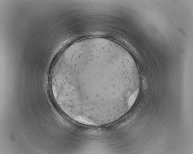 X0000114100725200911161057