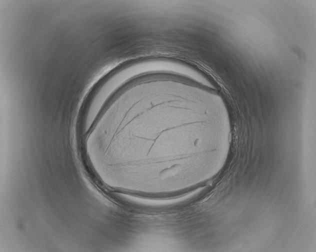 X0000114100726200911161057