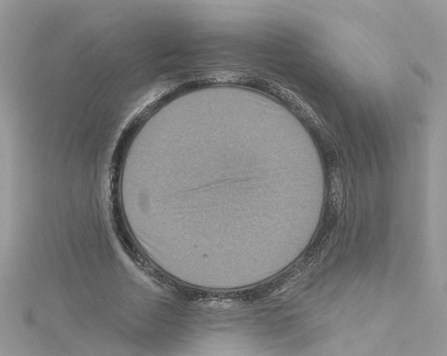 X0000114100730200911161057