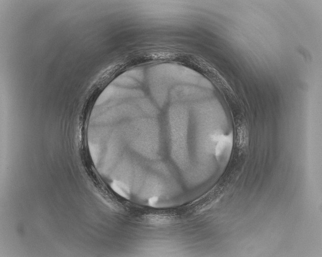 X0000114100733200911161057