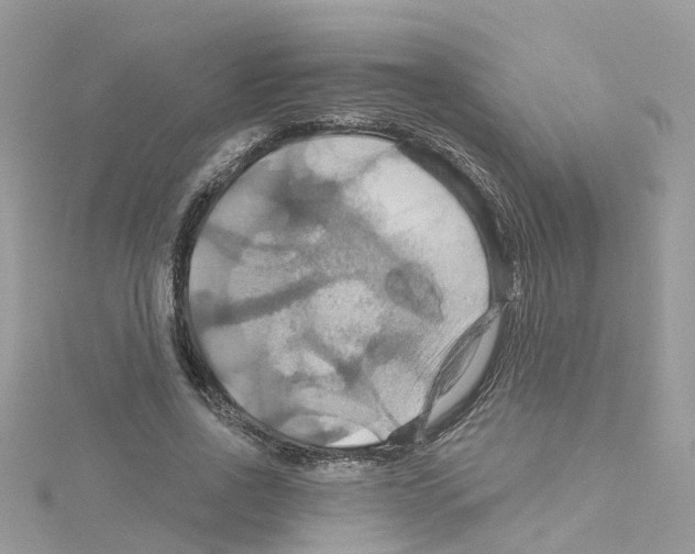 X0000114100734200911161057