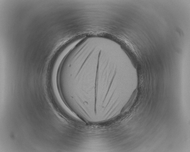 X0000114100736200911161057