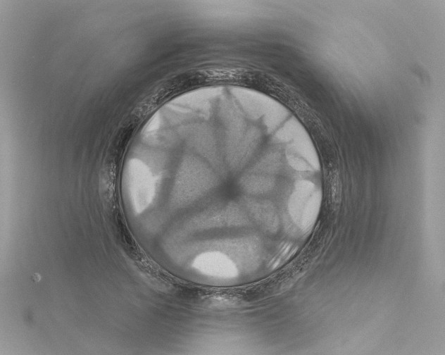 X0000114100737200911161057