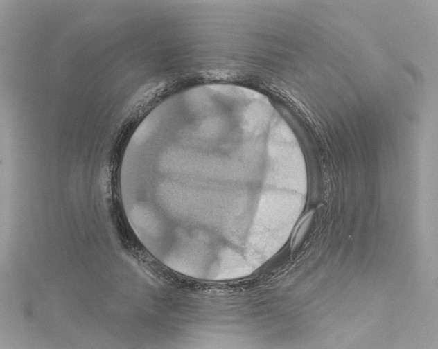 X0000114100738200911161057