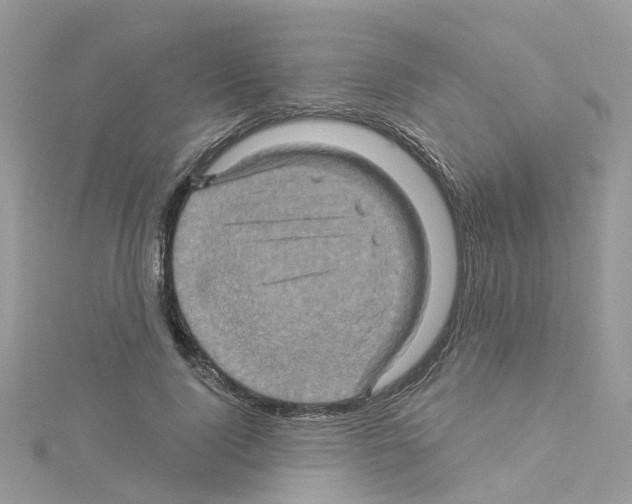 X0000114100740200911161058