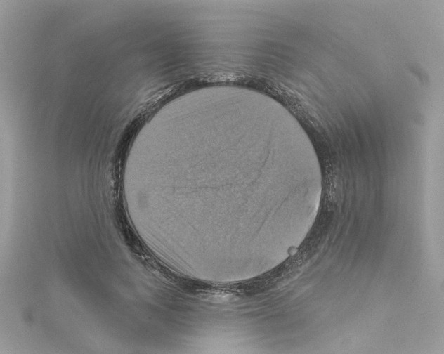 X0000114100743200911161058