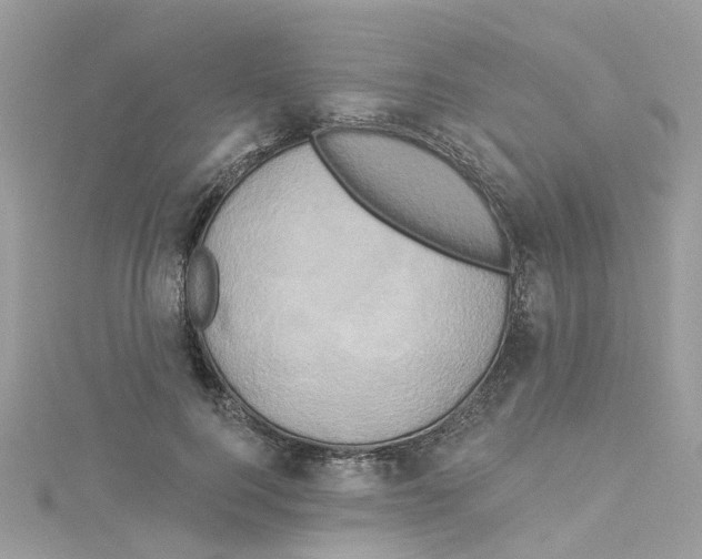 X0000114100744200911161058