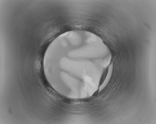 X0000114100746200911161058