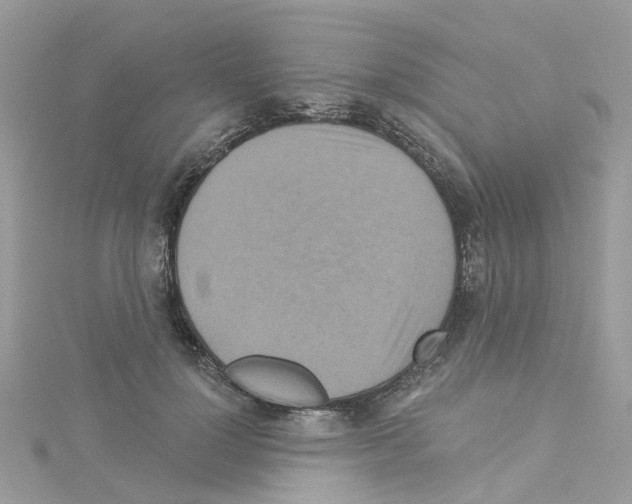 X0000114100748200911161058