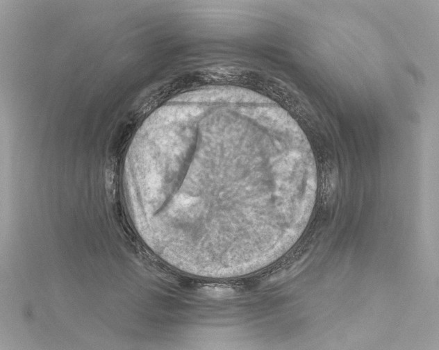 X0000114100749200911161058