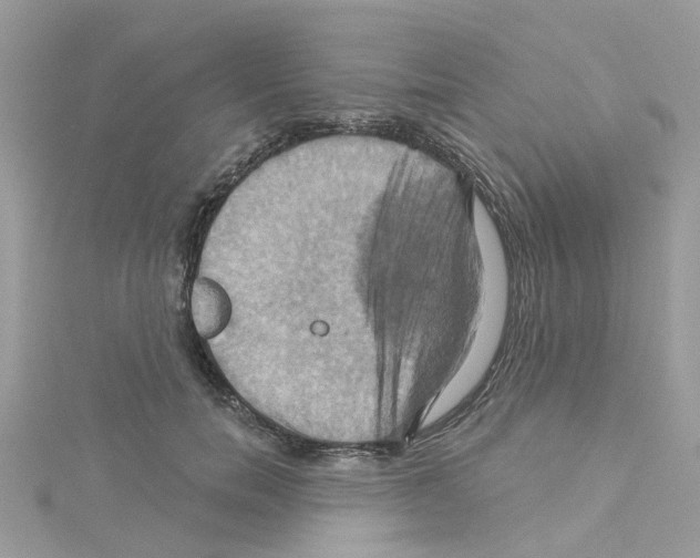 X0000114100750200911161058