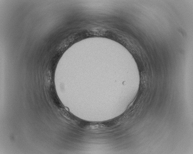 X0000114100752200911161058