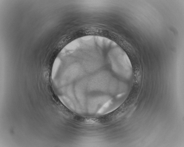 X0000114100753200911161058