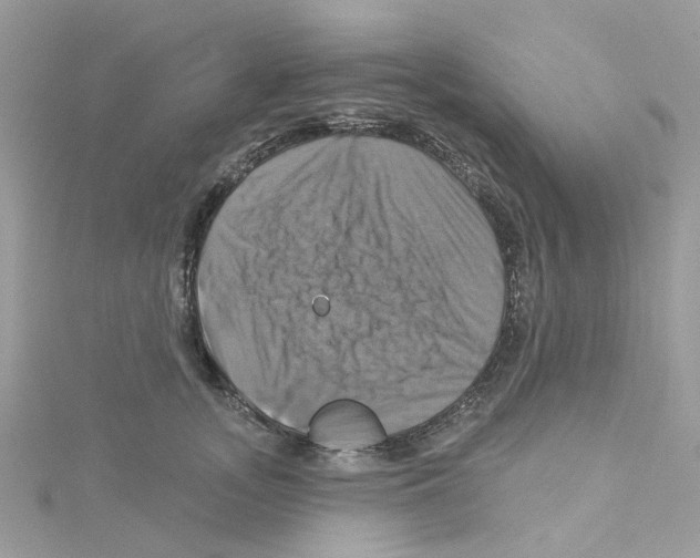 X0000114100755200911161058