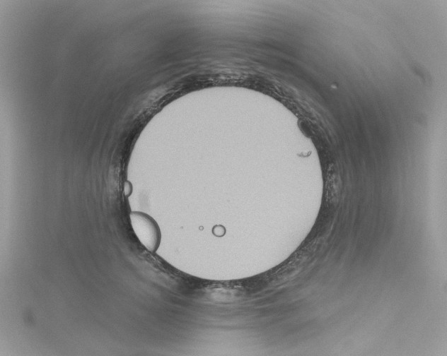 X0000114100756200911161058