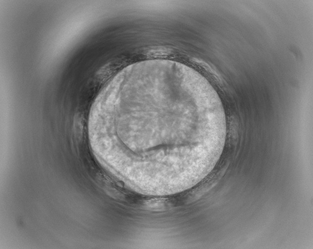 X0000114100761200911161058