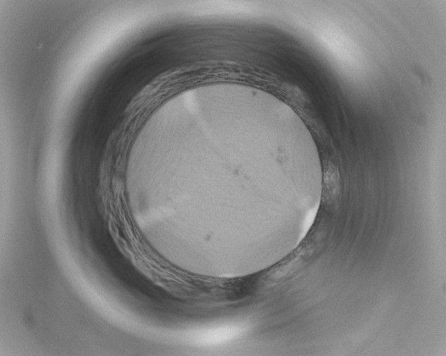 X0000114100765200911161058