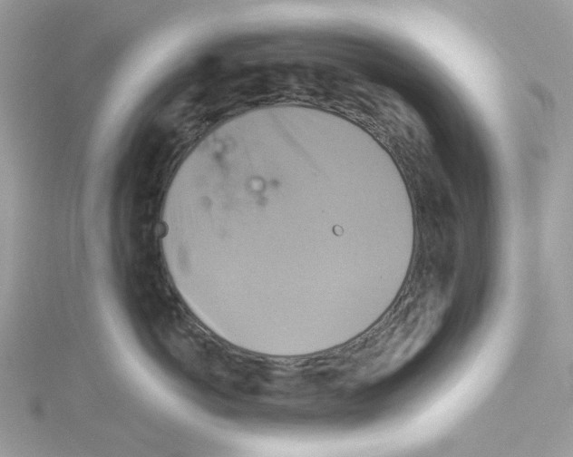 X0000114100766200911161058