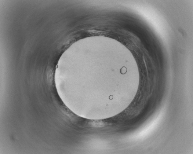 X0000114100767200911161058