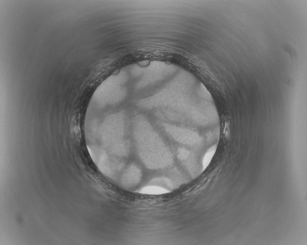 X0000114100771200911161057