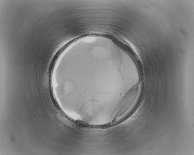 X0000114100779200911161057