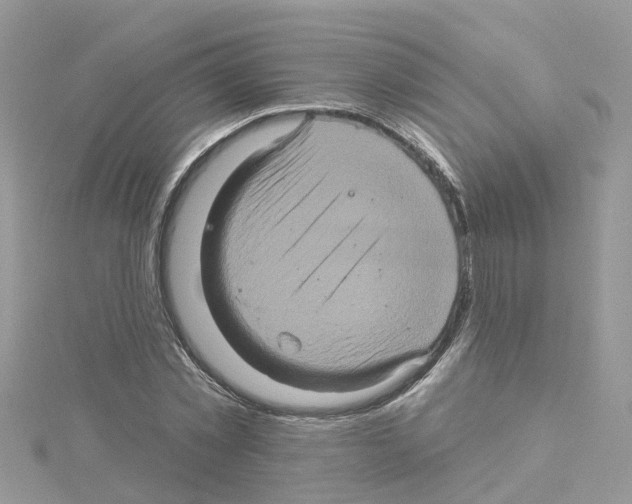 X0000114100781200911161057