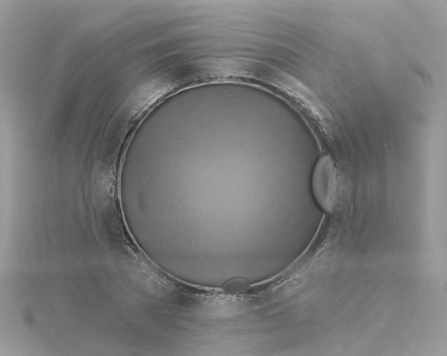 X0000114100785200911161057