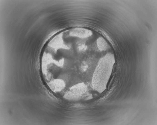 X0000114100787200911161057