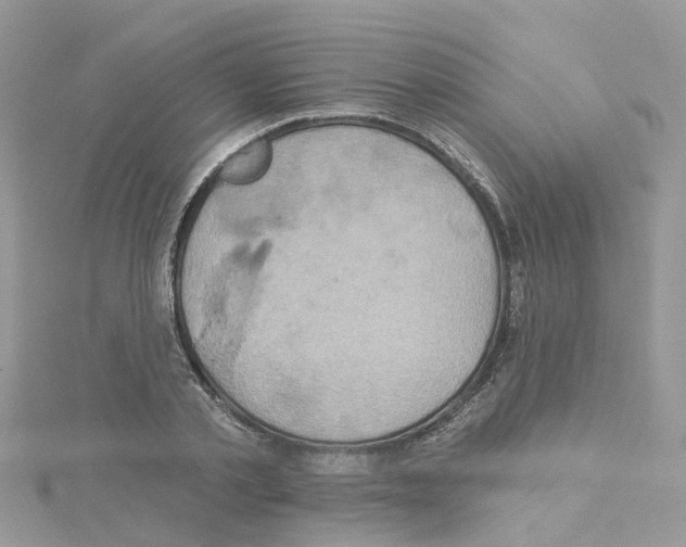 X0000114100789200911161057