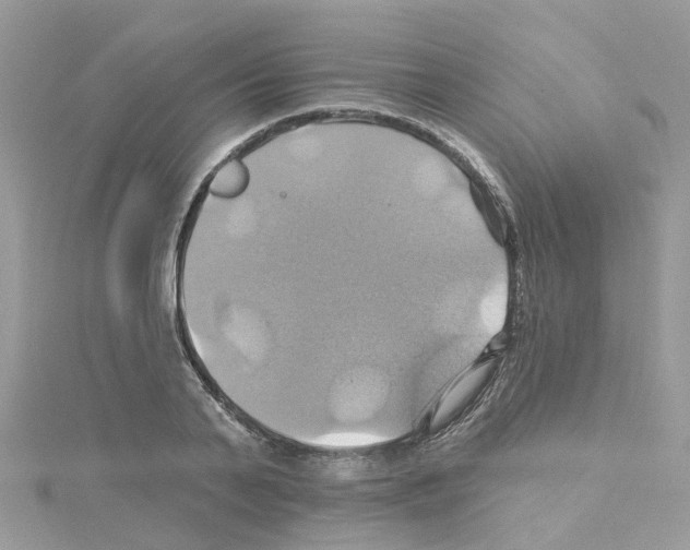 X0000114100791200911161057