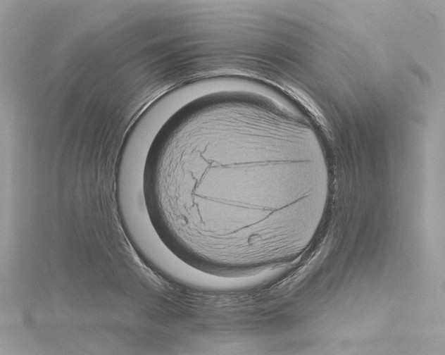 X0000114100793200911161057