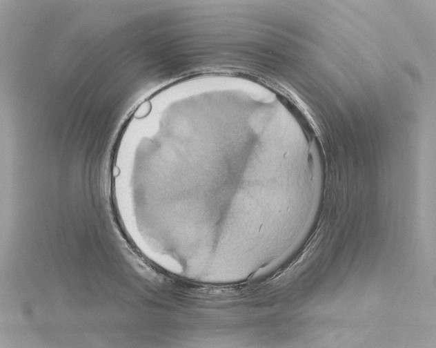 X0000114100795200911161057