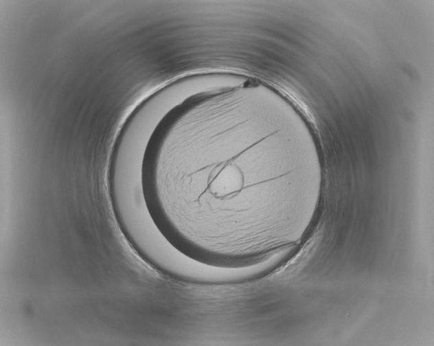 X0000114100797200911161057