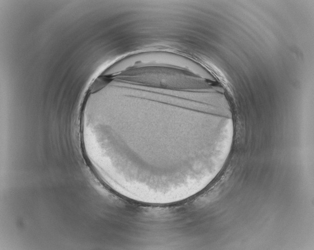 X0000114100800200911161057