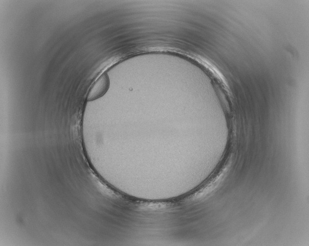 X0000114100801200911161057