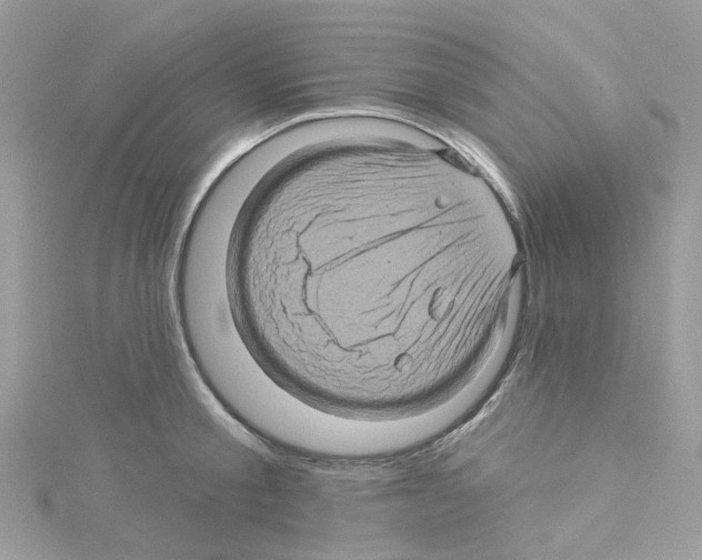 X0000114100805200911161057