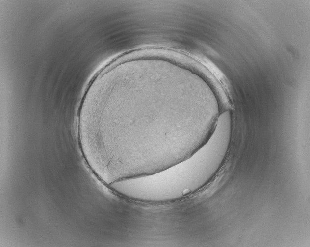 X0000114100807200911161057