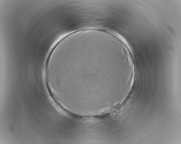 X0000114100811200911161057