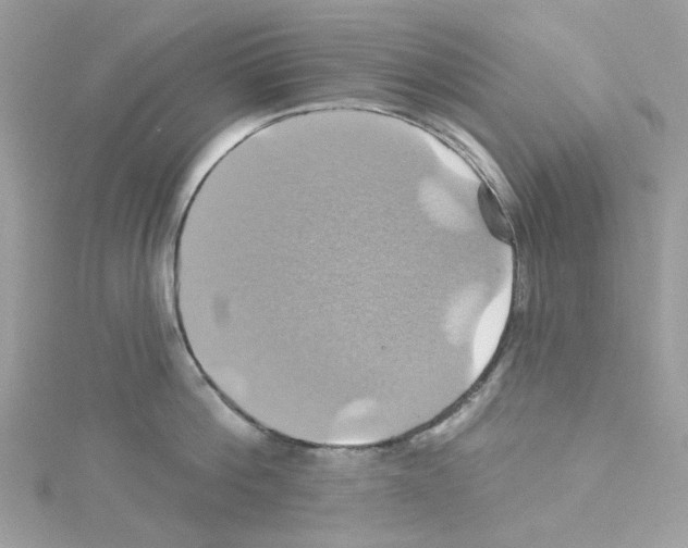 X0000114100812200911161057