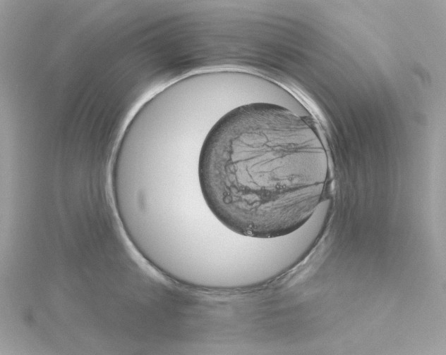 X0000114100813200911161057