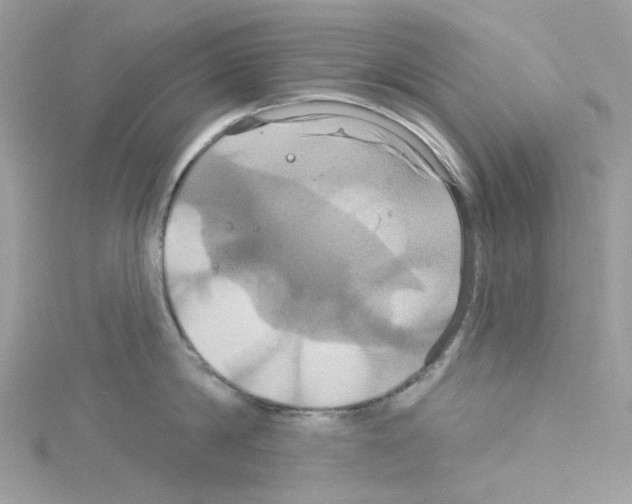 X0000114100814200911161057