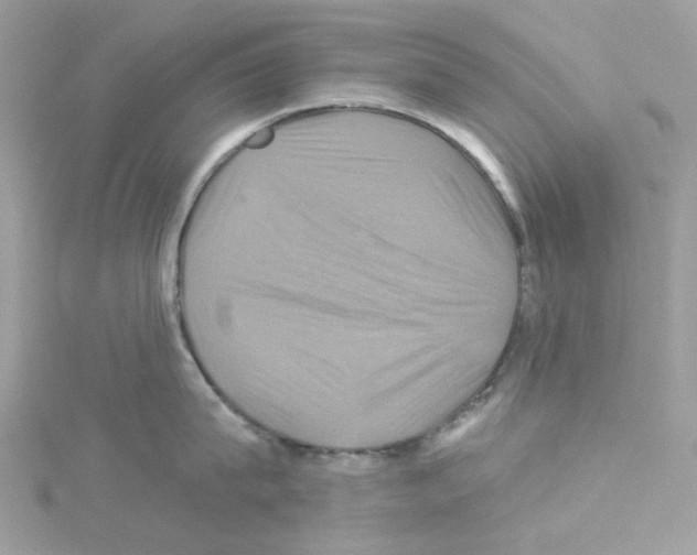 X0000114100815200911161057