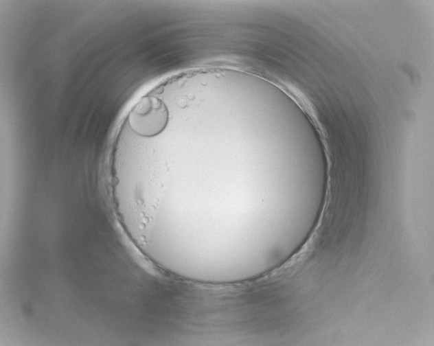 X0000114100816200911161057