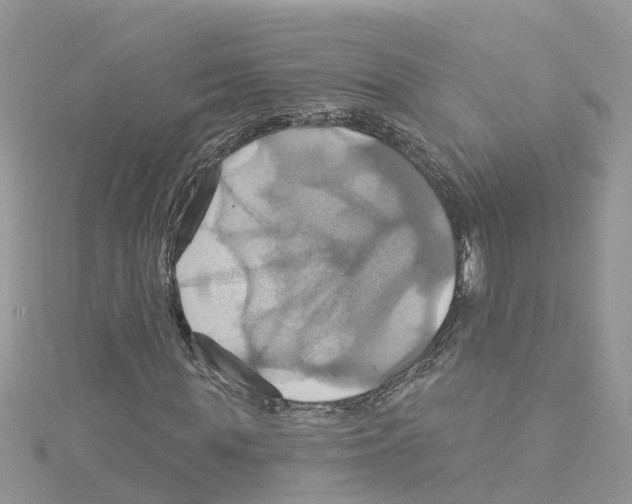 X0000114100819200911161056