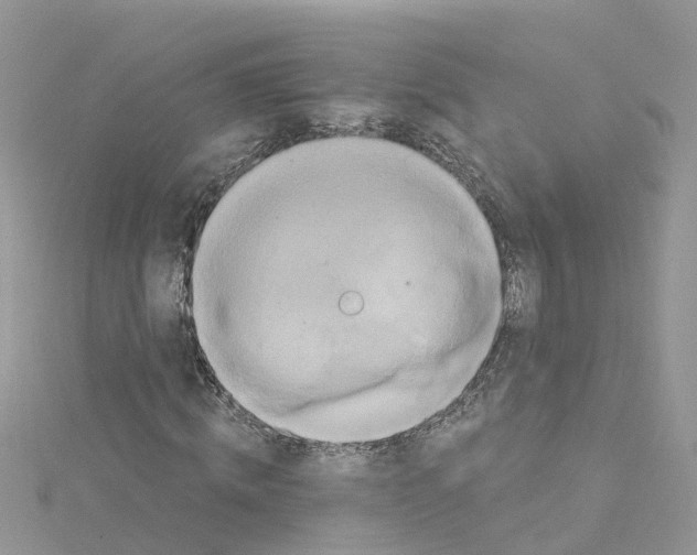 X0000114100820200911161056