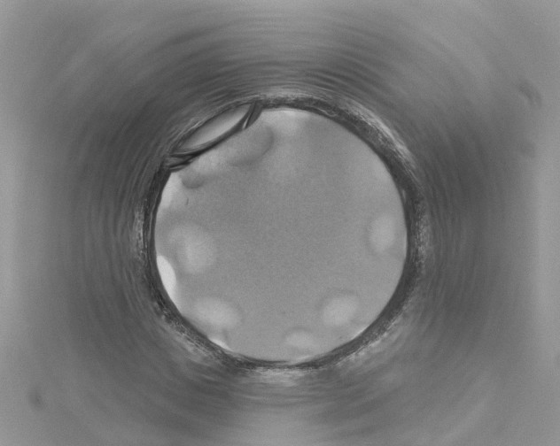 X0000114100825200911161056